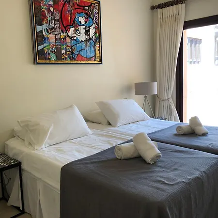 1320: San Pedro 2 Bed Penthouse Apartment